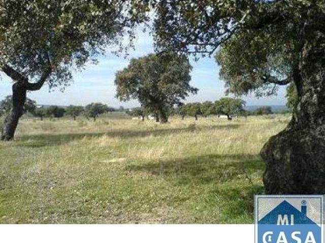 Terreno en venta en Mérida, Cruz Campo