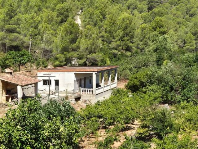 Terreno en venta en la Ribera Baixa, Valencia
