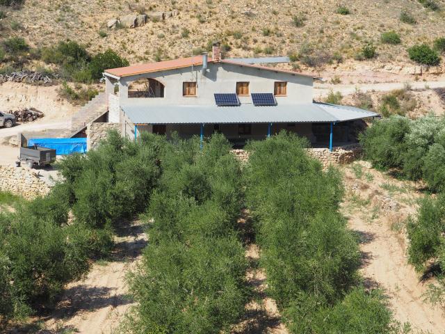 Terreno en venta en Flix, la Ventonella
