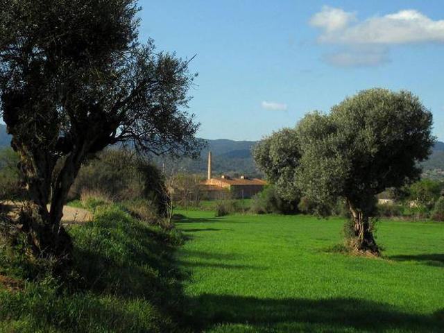 Terreno en venta en Forallac, Vulpellac Terreno en venta en Forallac, Vulpellac