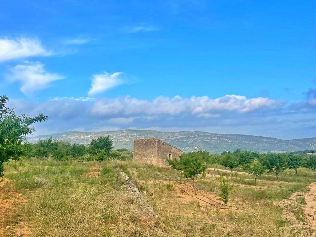 Terreno en venta en Montsià, Catalunya