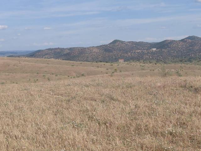 Terreno en venta en Fuente De Cantos, Extremadura