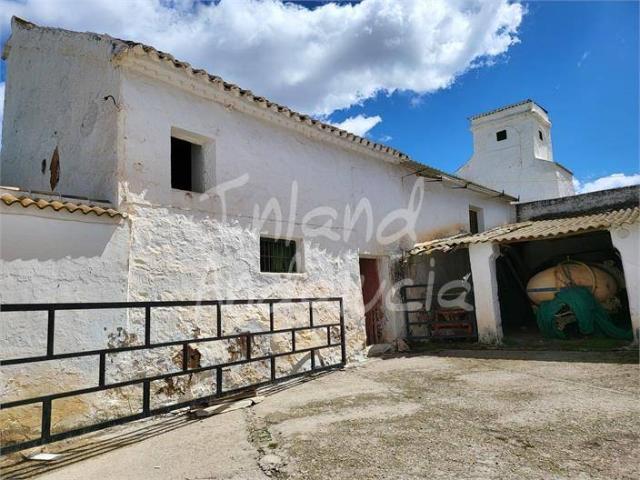 Terreno en venta en Fuente De Piedra, Barriada de la Realenga
