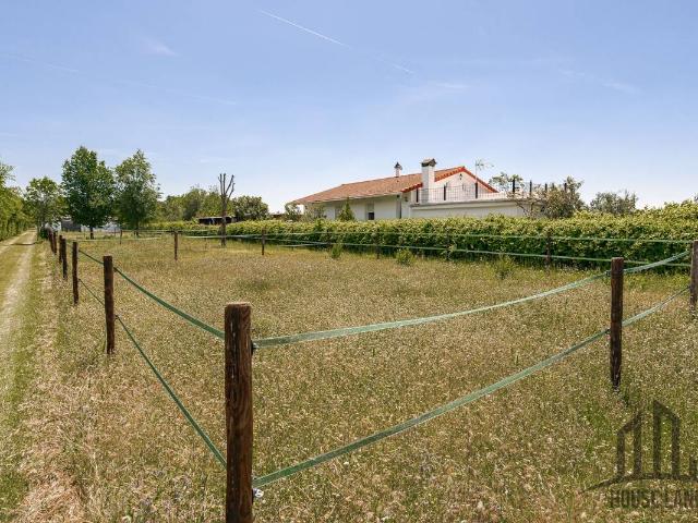 Terreno en venta en Fuente El Saz De Jarama, Madrid