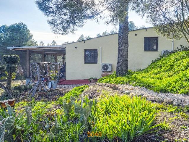 Terreno en venta en Ribera d'Ebre, Catalunya