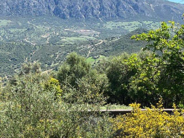 Terreno en venta en Serranía de Ronda, Andalucía