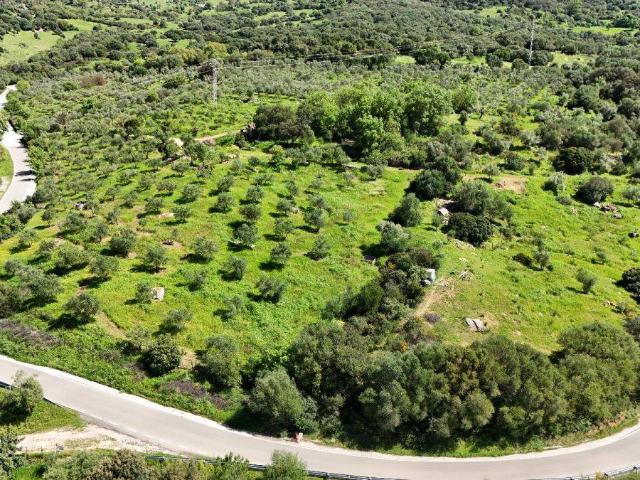 Terreno en venta en Gaucín, Málaga