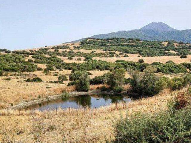 Terreno en venta en Gaucín, Málaga