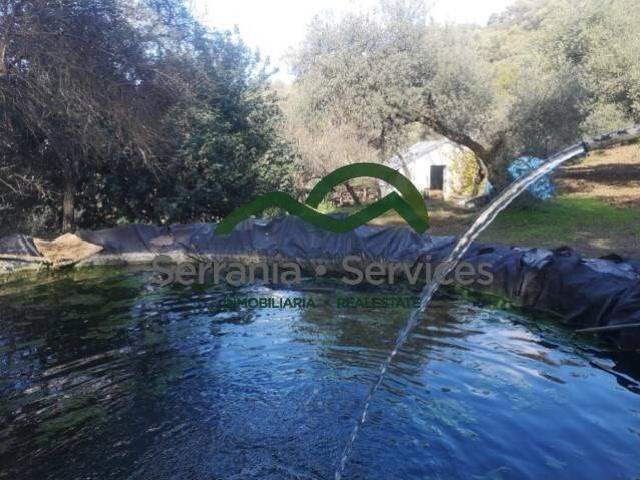 Terreno en venta en Serranía de Ronda, Andalucía