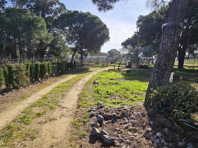 Terreno en venta en Comarca Metropolitana de Huelva, Andalucía