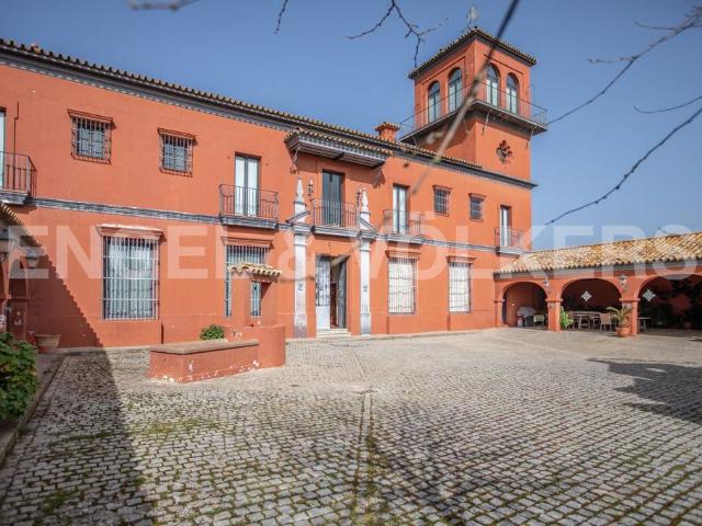 Terreno en venta en Guadalcanal, Andalucía