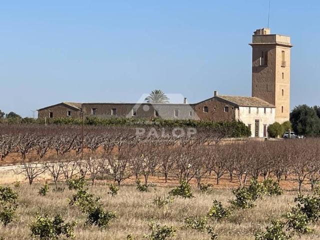 Terreno en venta en la Ribera Alta, Valencia