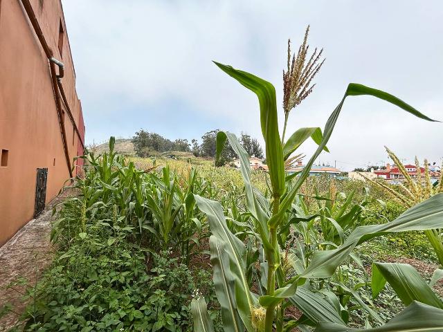 Terreno en venta en San Cristóbal de La Laguna, Canarias