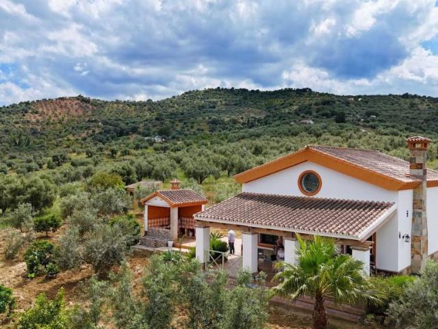 Terreno en venta en Guaro
