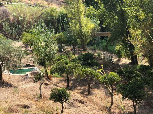 Local Comercial en venta en Sierra de las Nieves, Andalucía