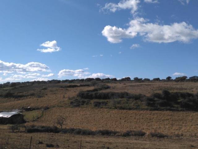 Terreno en venta en Guijo De Coria, Extremadura