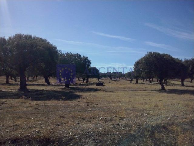 Terreno en venta en Herreruela