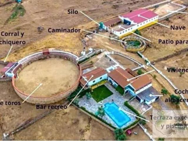 Terreno en venta en Llanos de Olivenza, Extremadura
