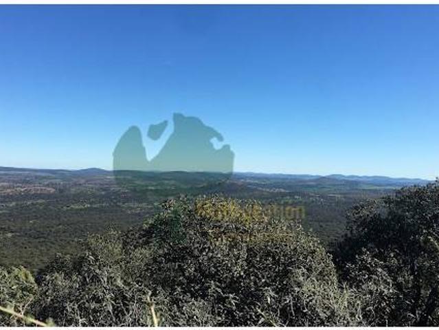 Terreno en venta en Tierra de Barros, Extremadura
