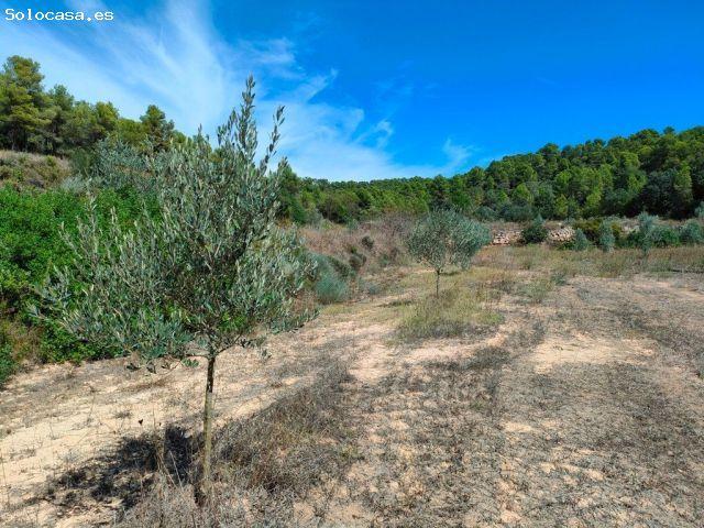 Local Comercial en venta en Horta De Sant Joan