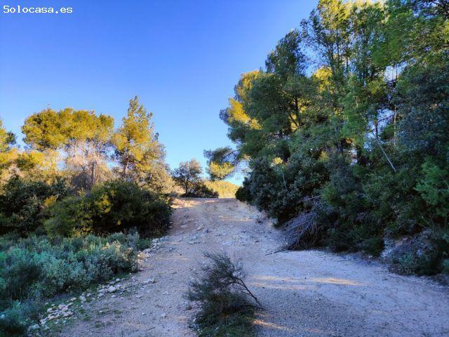 Local Comercial en venta en Horta De Sant Joan