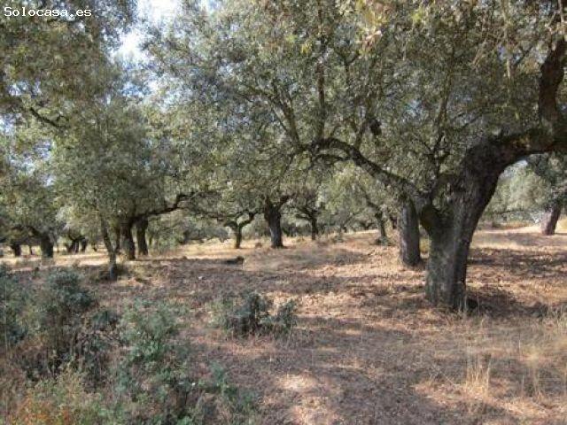 Local Comercial en venta en Sierra de Huelva, Andalucía