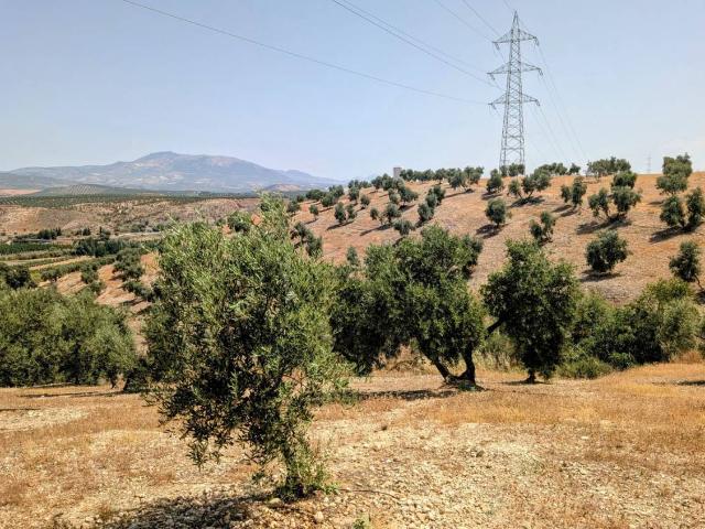 Terreno en venta en Comarca de Loja, Andalucía