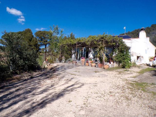 Terreno en venta en Ibi