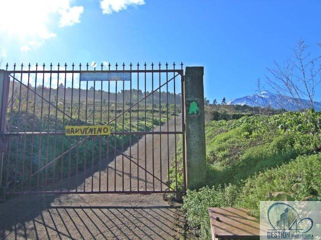 Terreno en venta en Realejo Alto, Los Realejos