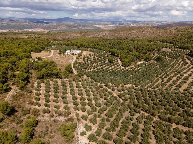 Terreno en venta en Iznalloz, Casas Nuevas