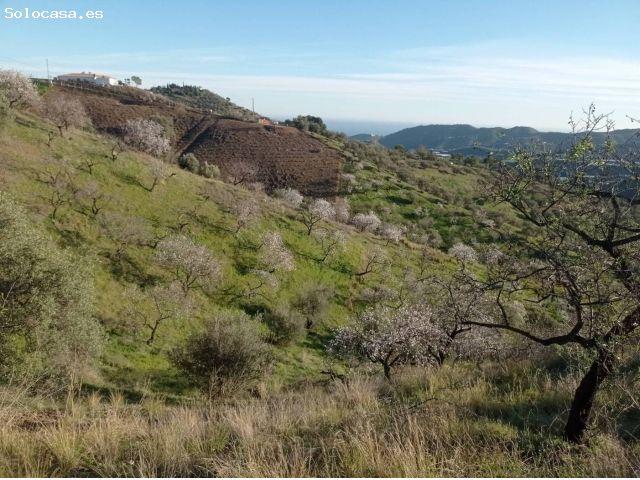 Local Comercial en venta en La Axarquía, Andalucía