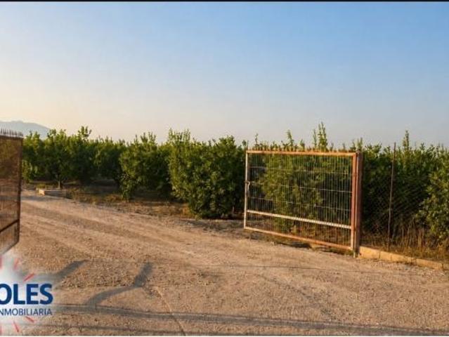 Local Comercial en venta en el Baix Segura / La Vega Baja, Valencia