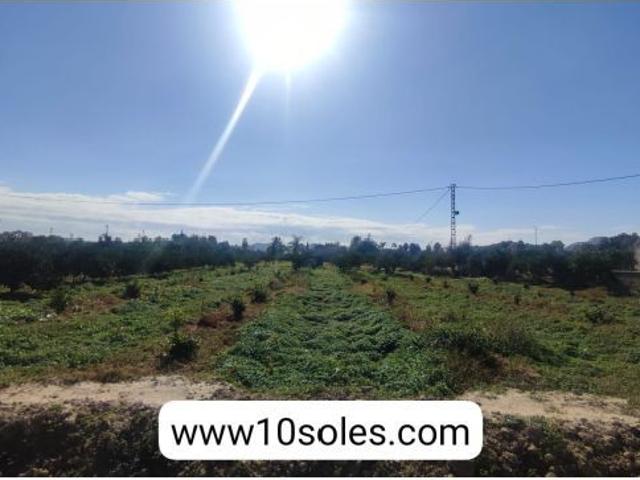 Local Comercial en venta en el Baix Segura / La Vega Baja, Valencia