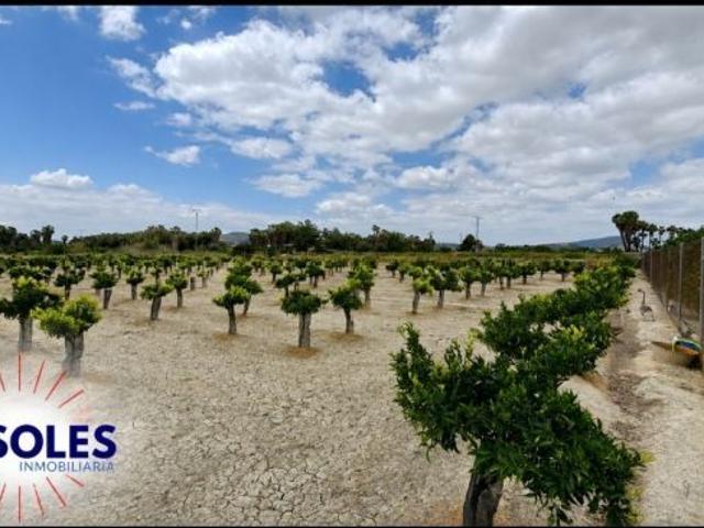 Local Comercial en venta en el Baix Segura / La Vega Baja, Valencia