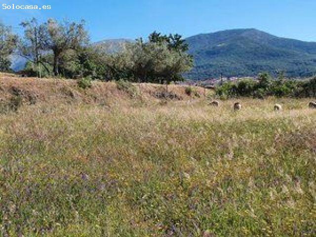 Local Comercial en venta en Jarandilla De La Vera, Extremadura