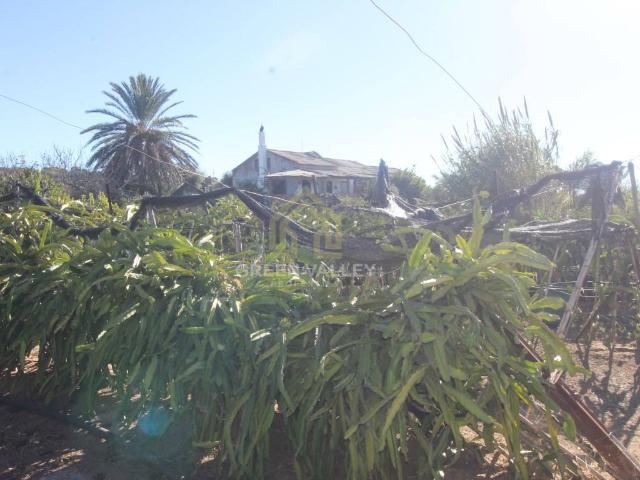 Terreno en venta en San Roque, Cádiz