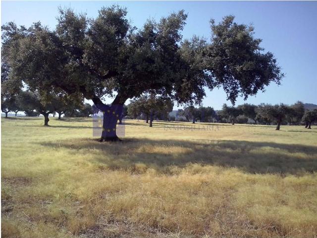 Terreno en venta en La Cumbre, Extremadura