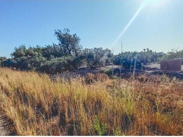 Local Comercial en venta en Montsià, Catalunya