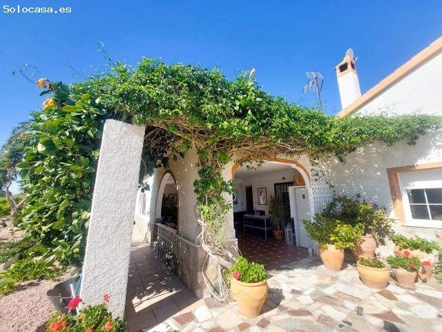 Local Comercial en venta en la Marina, el Baix Vinalopó