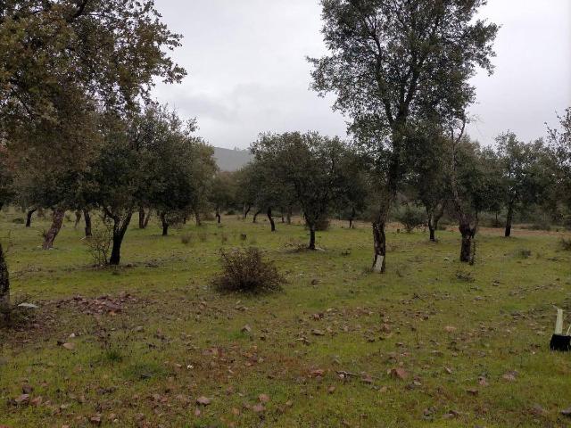Terreno en venta en La Nava De Santiago, Extremadura
