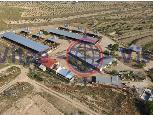 Villa en venta en Lorca, San Mateo