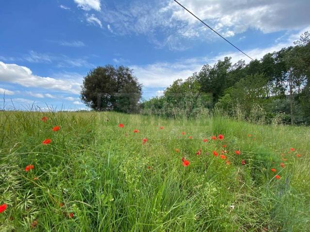 Terreno en venta en Baix Empordà, Catalunya