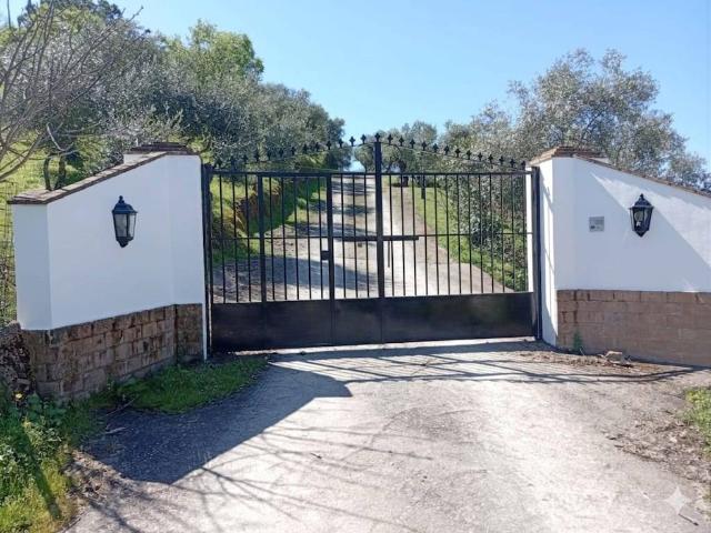 Terreno en venta en La Puebla De Los Infantes, Andalucía