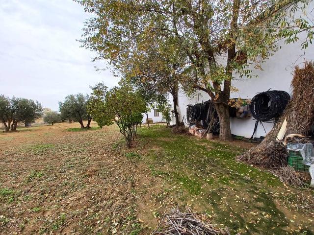 Terreno en venta en Distrito 5, Albacete