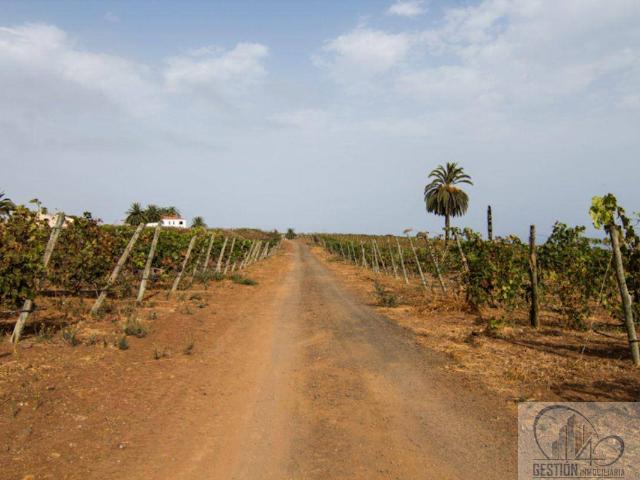 Terreno en venta en Santa Úrsula, Canarias