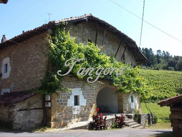 Terreno en venta en Larrabetzu, Goikolea
