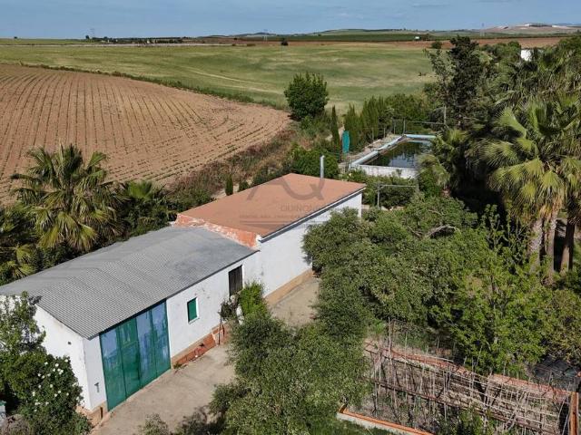 Terreno en venta en Las Cabezas De San Juan, Andalucía