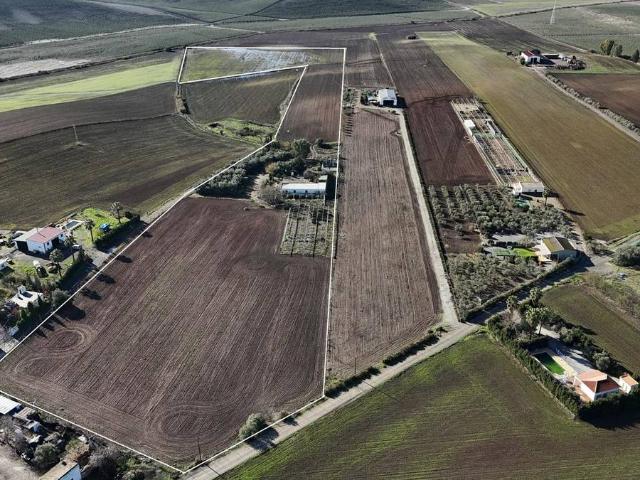Terreno en venta en Las Cabezas De San Juan, Andalucía