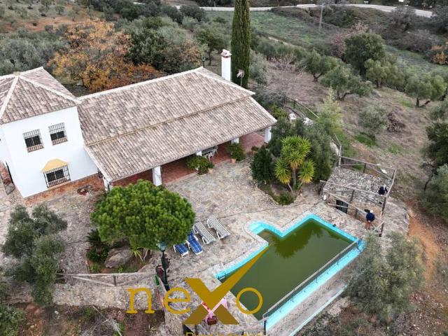 Terreno en venta en Las Navas De La Concepción, Andalucía