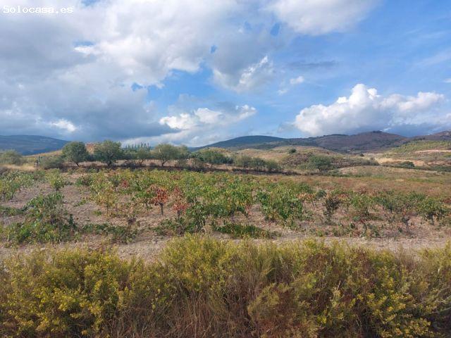 Local Comercial en venta en Láujar De Andarax, Andalucía